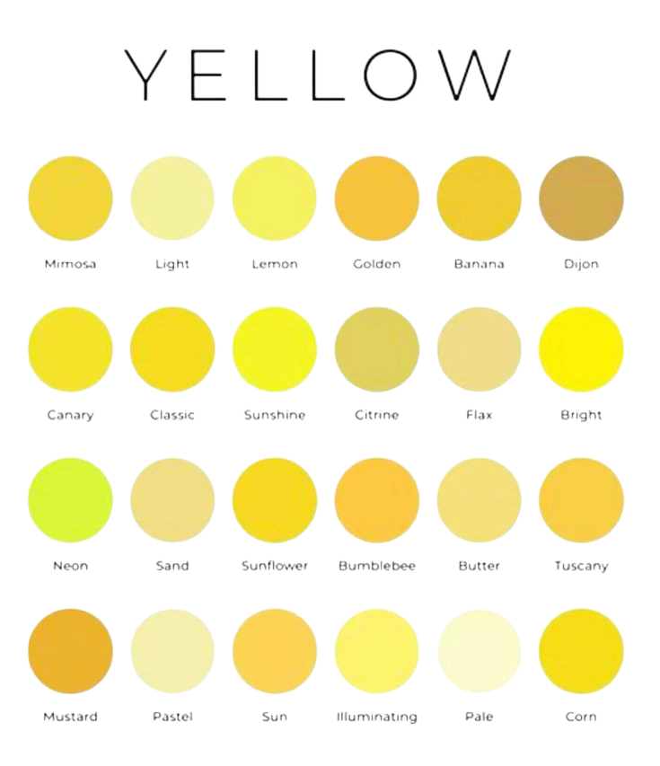 622481979788642493
